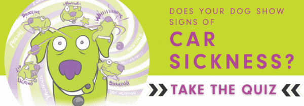 Take the Dog Car Sickness Quiz