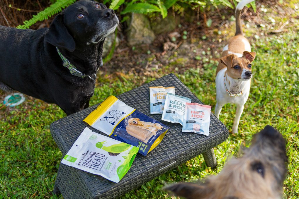 Chilly and Tulip's favorite training treats!