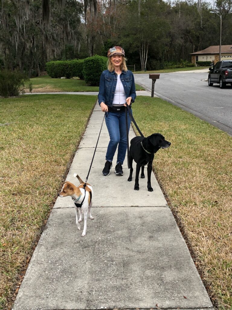 Chilly knows he'll get a training treat when we turn around.