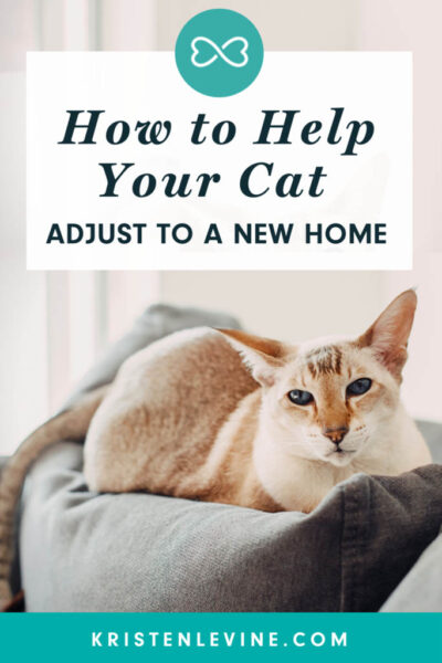 pin How to Help Your Cat Adjust to a New Home