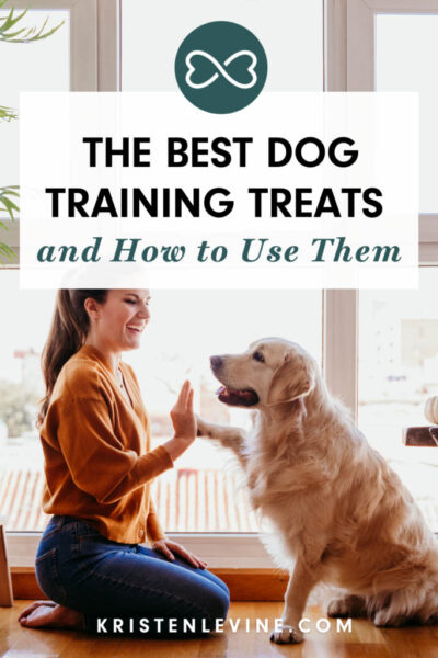 best dog training treats pin