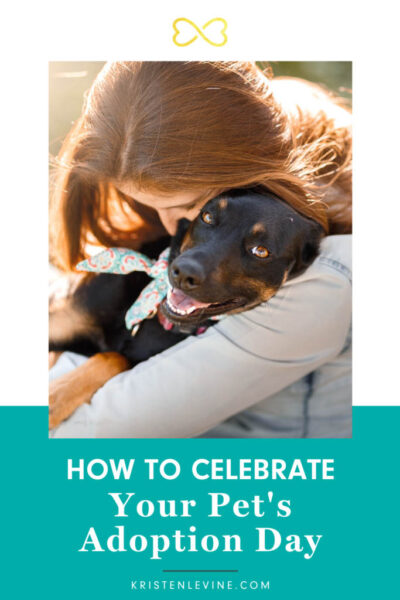 pin how to celebrate your pet's adoption day
