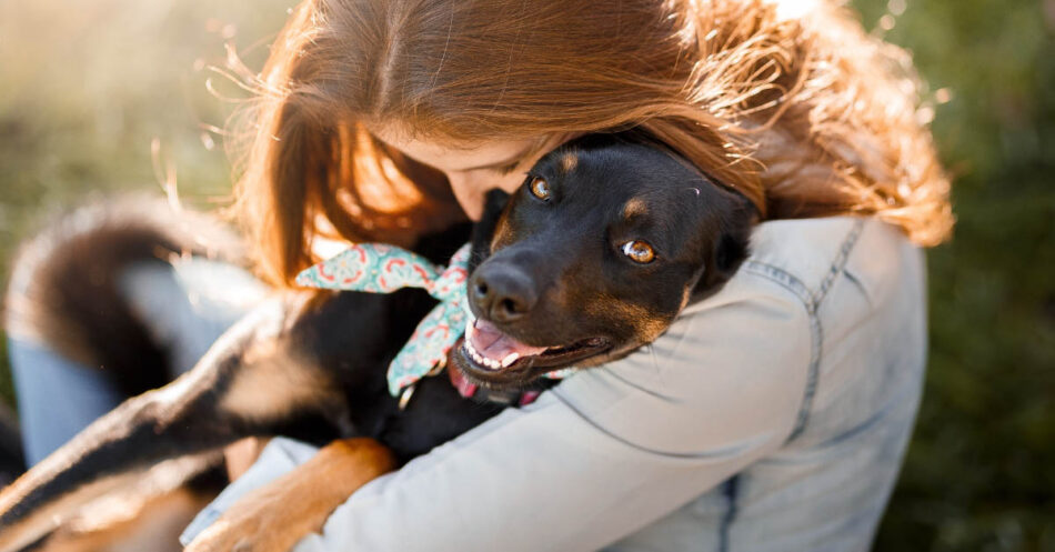 It was meant to be': Woman at animal shelter adopts dog wearing her late  pet's donated bandana