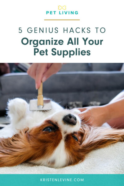 pin how to organize your pet supplies