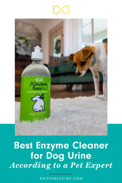 Best enzyme cleaner clearance for dog urine