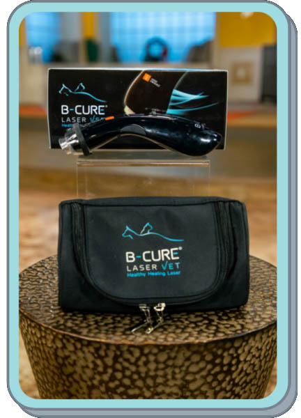 b cure laser therapy