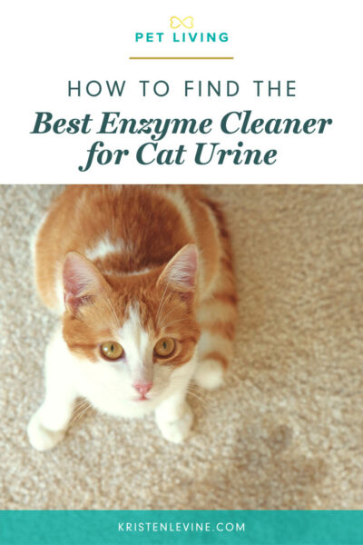 pin how to find the best enzyme cleaner for cat urine