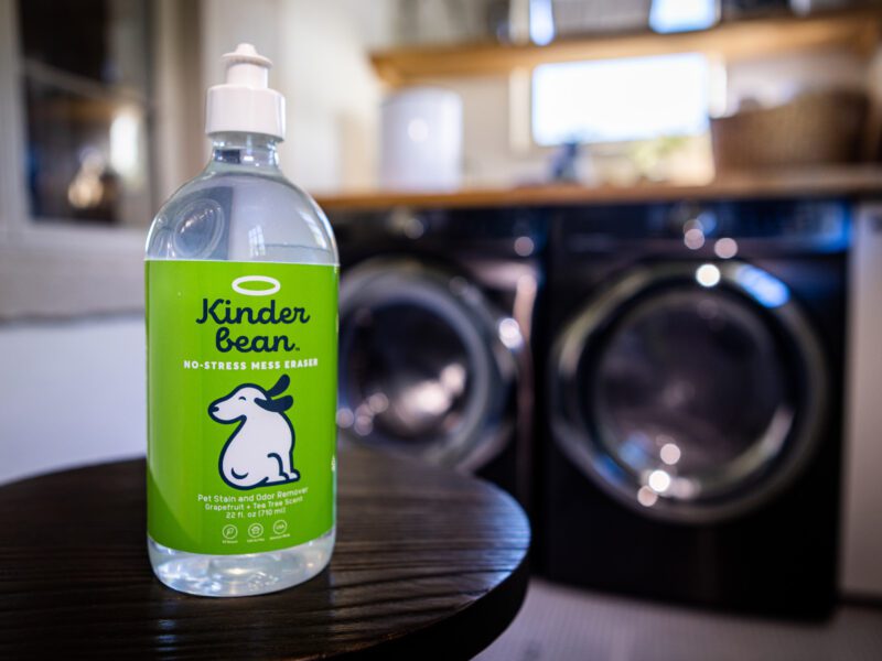 The Best Enzyme Cleaner for Dog Urine from a Pet Expert Pet Living