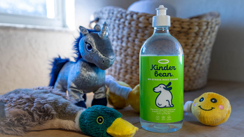 How to Wash Dog Toys to Actually Clean Them Pet Living