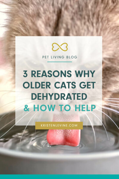 pin reasons older cats get dehydrated