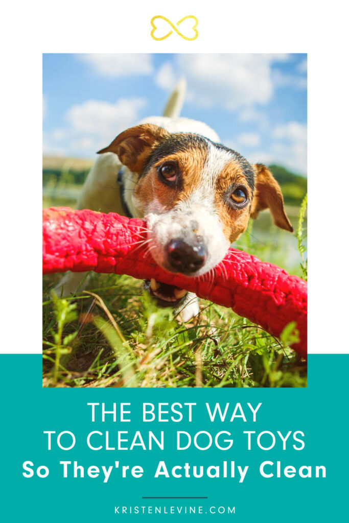 How to Wash Dog Toys to Actually Clean Them Pet Living