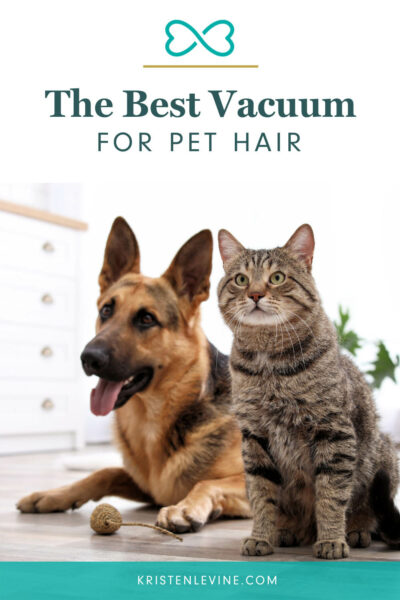 What Is The Best Vacuum For Pet Hair?