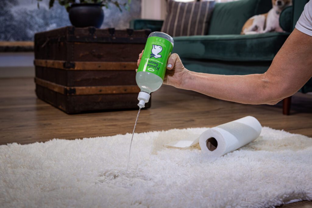 How to Get Cat Pee Smell Out of Clothes in 4 Steps