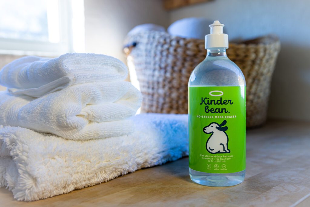 How to Get Cat Pee Smell Out of Clothes in 4 Steps