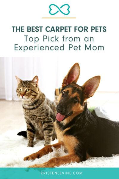 pin the best carpet for pets