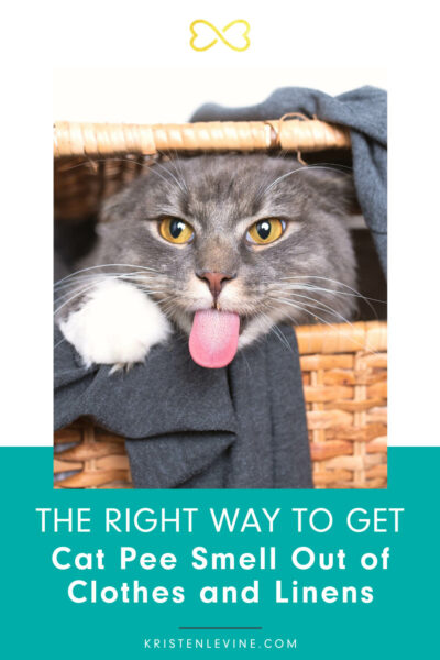 Ways to get rid hotsell of cat pee smell