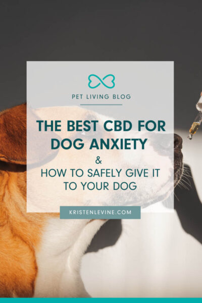 The Best CBD for Dog Anxiety Pin