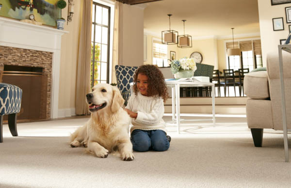 mohawk smartstrand is best carpet for pets