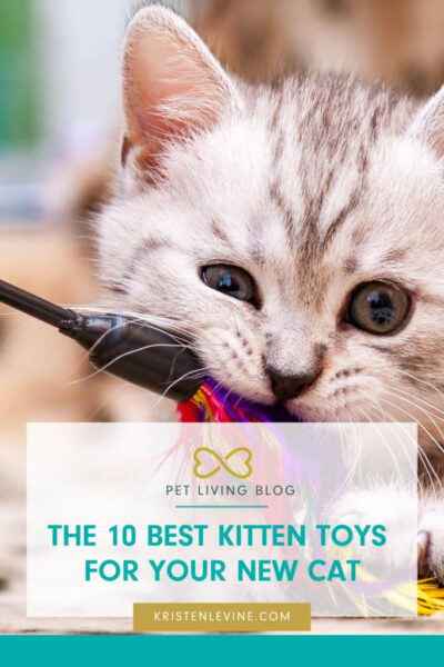 pin the 10 best kitten toys for your new cat