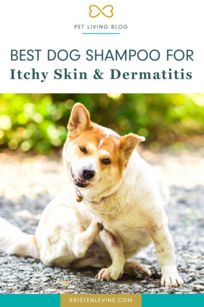 pin best dog shampoo for itchy skin and dermatitis