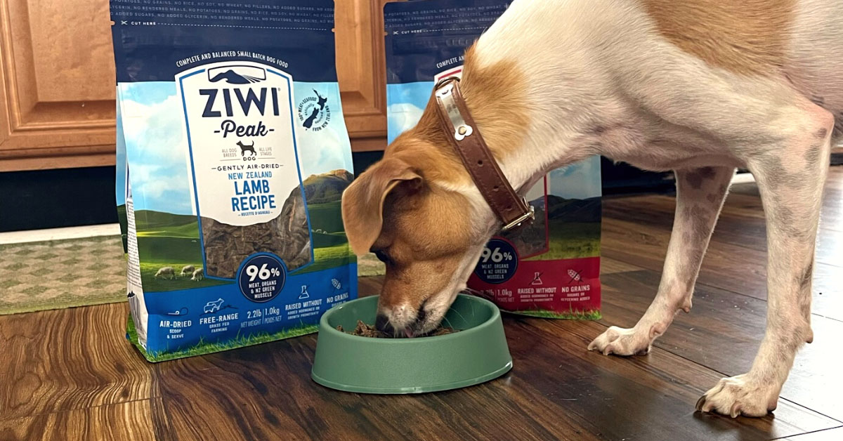 Ziwi best sale dog food