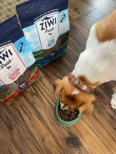 ZIWI air dried dog food and dog eating out of bowl.