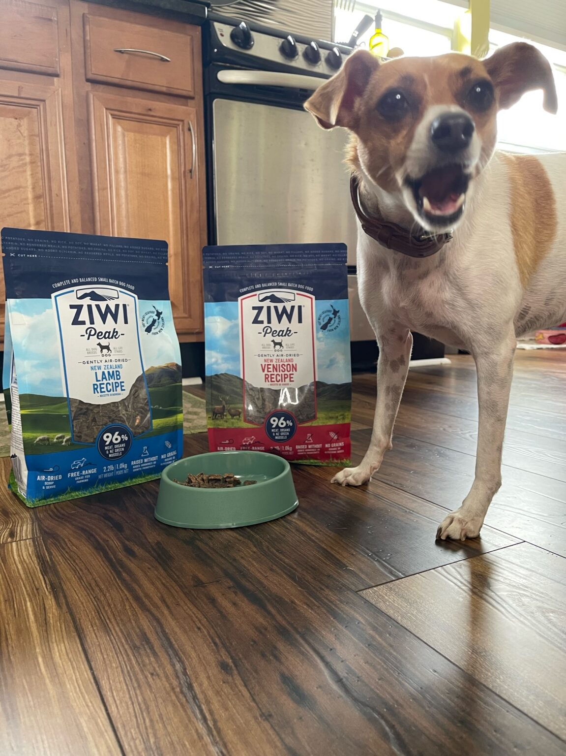 6 Reasons Why ZIWI AirDried Dog Food is Good for Your Dog