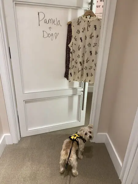 Small dog waiting to go in dressing room at Ann Taylor Loft.