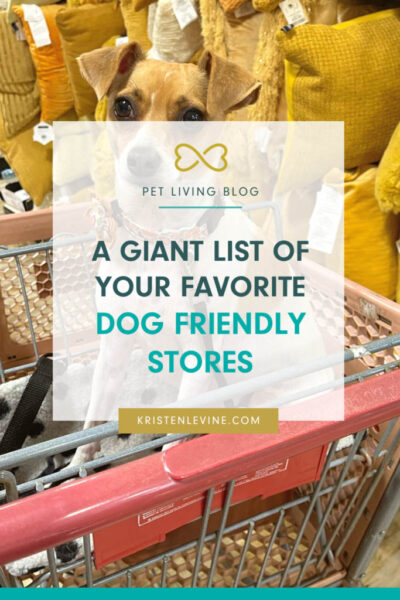 pin dog friendly stores