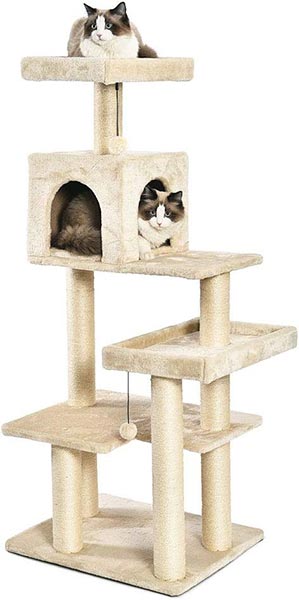 Photo of a gray and white cat sitting inside a cat tower