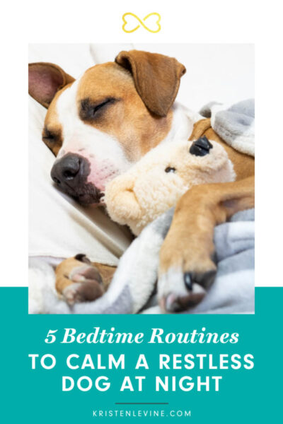 pin 5 bedtime routines to calm a restless dog at night