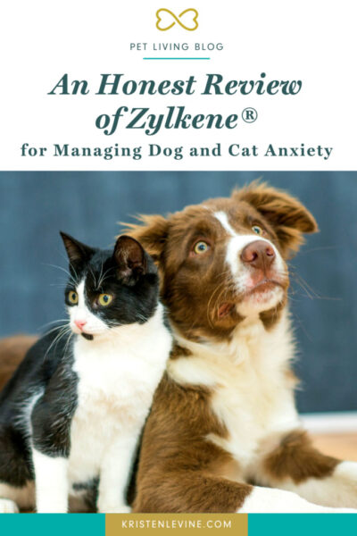 Zylkene dosage hotsell for cats