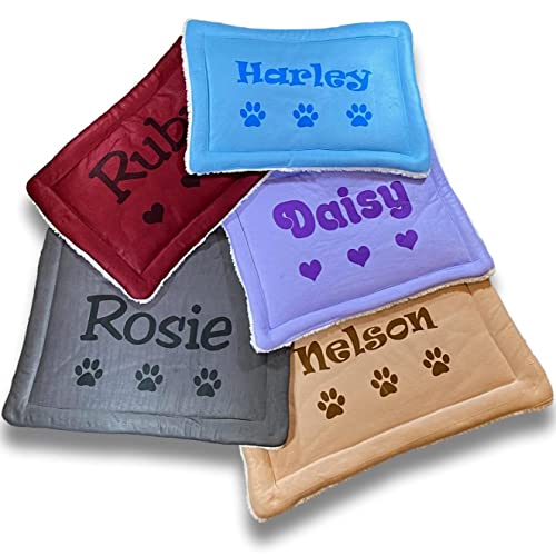 Photo of dog pillows in different colors with different things written on them