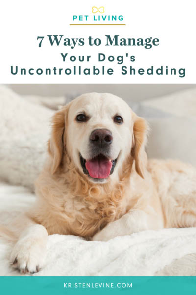 pin how to manage your dog's shedding