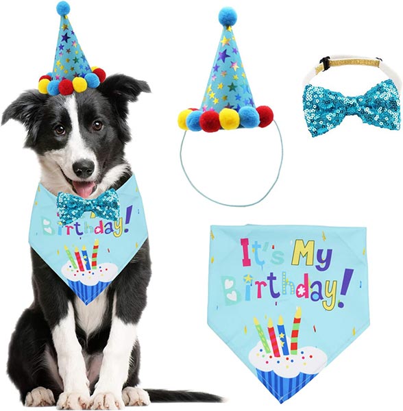 Photo of a dog wearing a party hat and bandana with decorations beside him