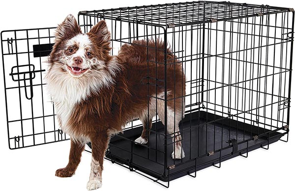 Photo of an Aspen Pet Single Door Home Training Crate with a small dog standing in doorway