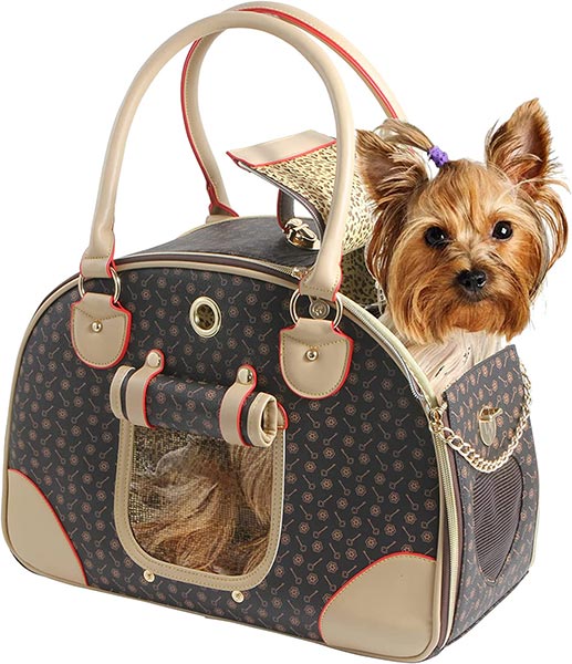 Photo of a Yorkshire terrier in a BETOP HOUSE Fashion Dog Carrier