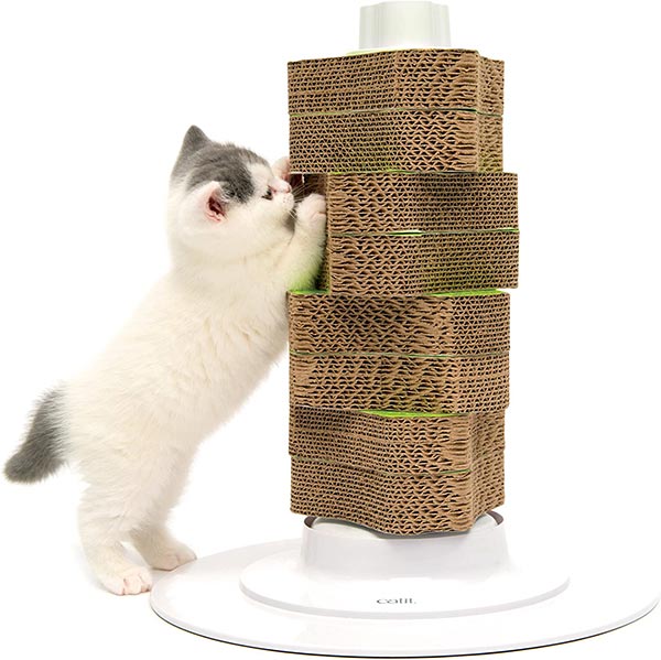 Photo of a gray and white kitten using a scratching post