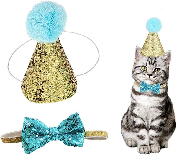 Photo of a cat wearing a party hat and bowtie