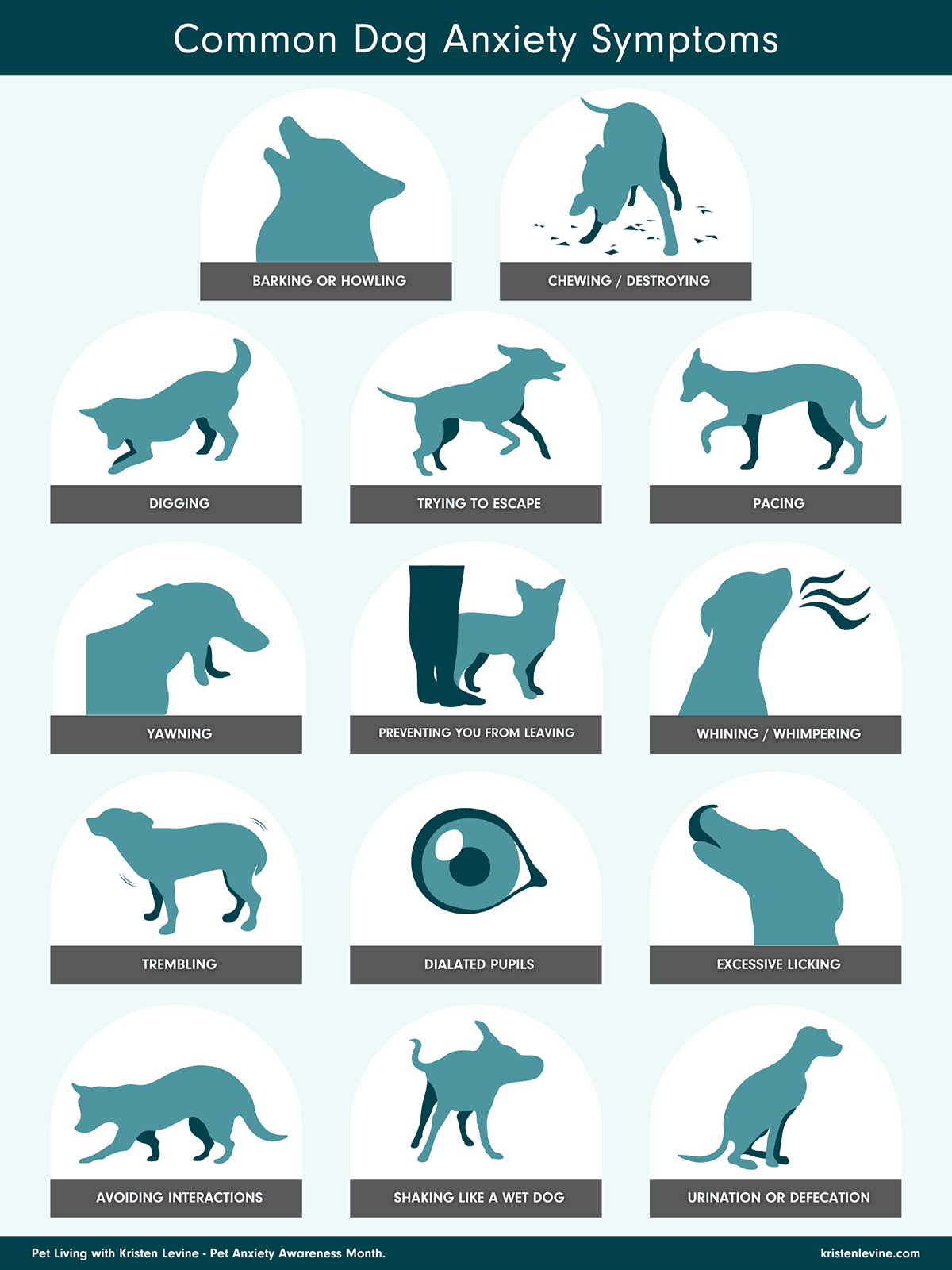 Signs And Symptoms Of Anxiety In Dogs And Cats Signs And Symptoms Of Anxiety In Dogs And Cats