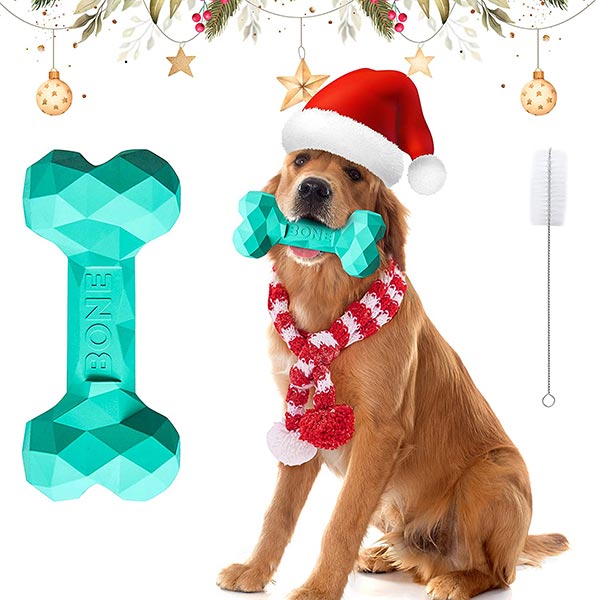 Photo of a dog with a toy bone in his mouth and wearing a Santa hat