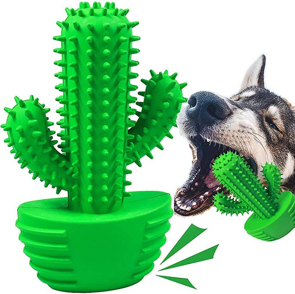 Photo of a cactus dog chew toy
