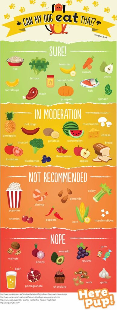 Infographic showing types of foods dog can and can't eat