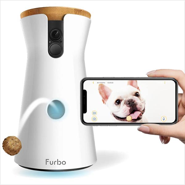 Photo of a Furbo Dog Camera