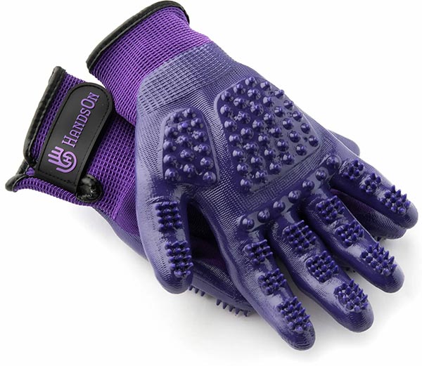 Photo of purple HandsOn Gloves