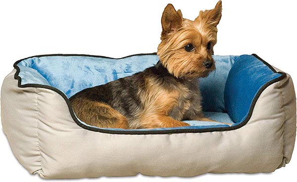 Photo of a Yorkshire Terrier laying in a K and H Pet Products Self Warming Pet Bed
