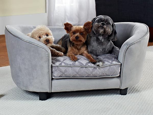 Photo of 3 dogs sitting in a Quicksilver Pet Sofa