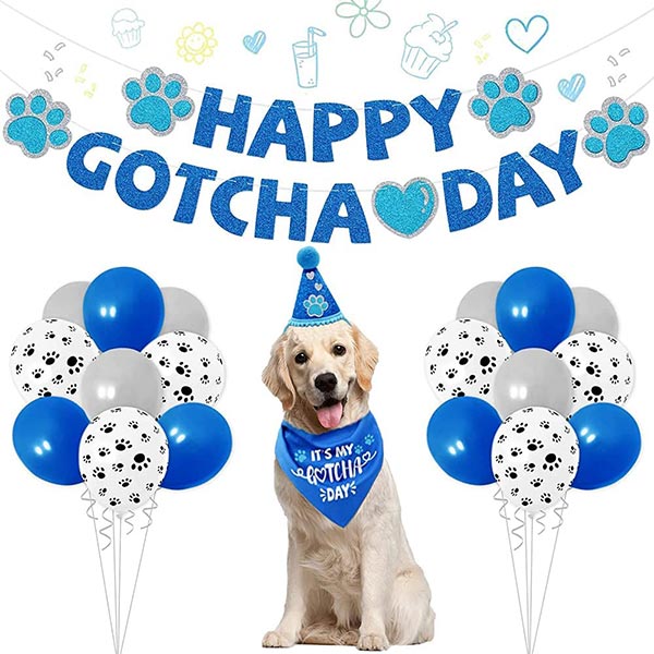 Photo of a dog wearing a party hat with decorations around him