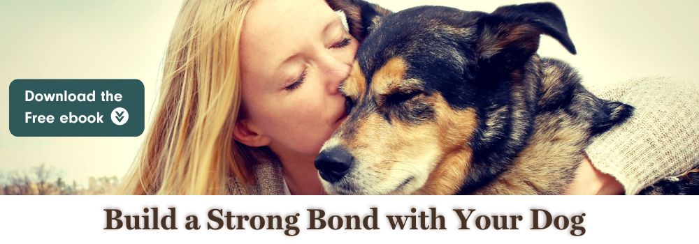 build a strong bond with your dog cta