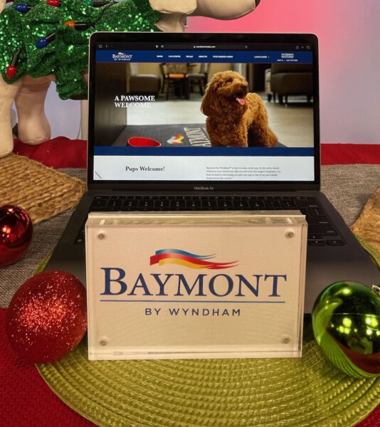 pamper your pet by staying at wyndham's dog-friendly hotels